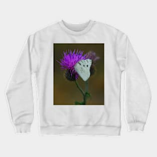 Butterfly Snack Time Crewneck Sweatshirt